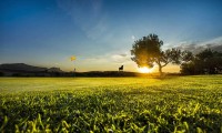 alenda golf course